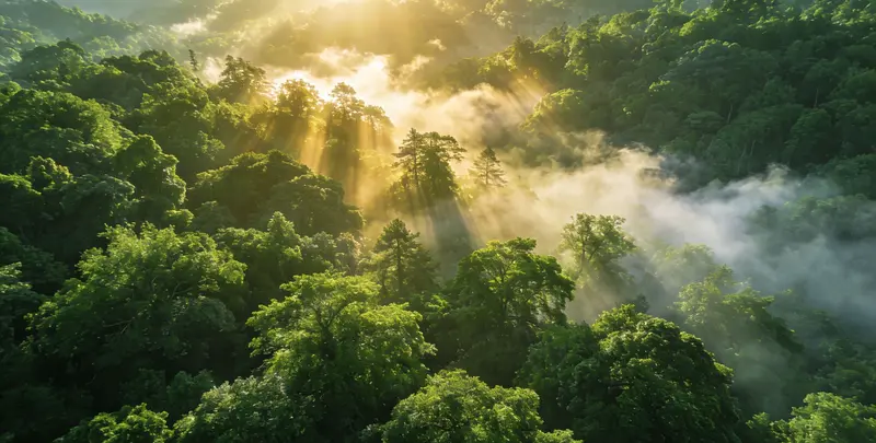 内江肺癌49基因检测图片1