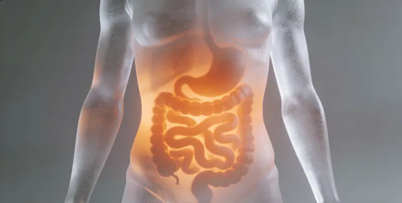 内江胃癌全面用药基因检测（组织）图片1